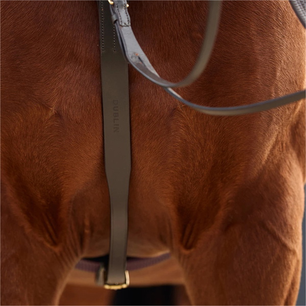 2026 Dublin 3-Point Breastplate 1031504 - Brown